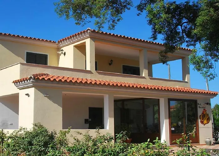 Gallo Spot סאן תאודורו